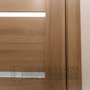 Дверь DUPLEX  (Дуб золотой,стекло Мателюкс)